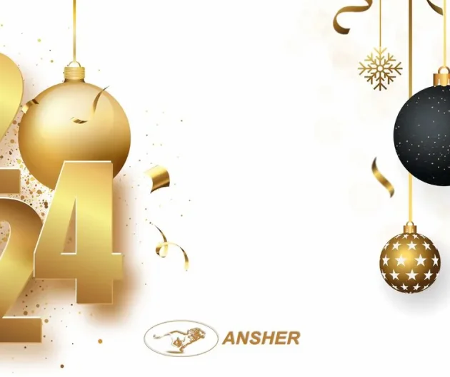 Ansher Capital celebarted upcoming 2024 year