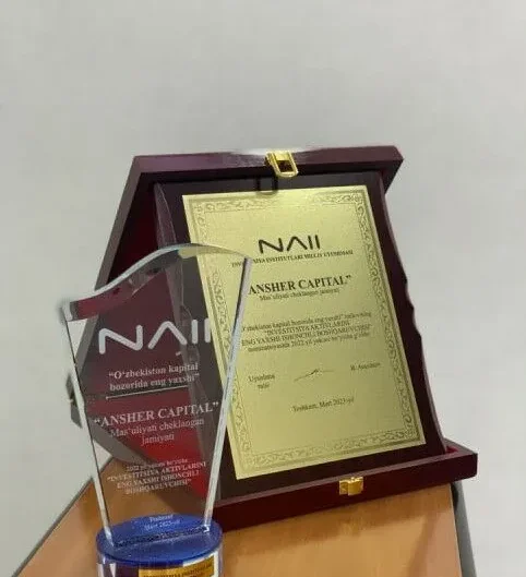 Ansher Capital is THE BEST ASSET MANAGER OF 2022